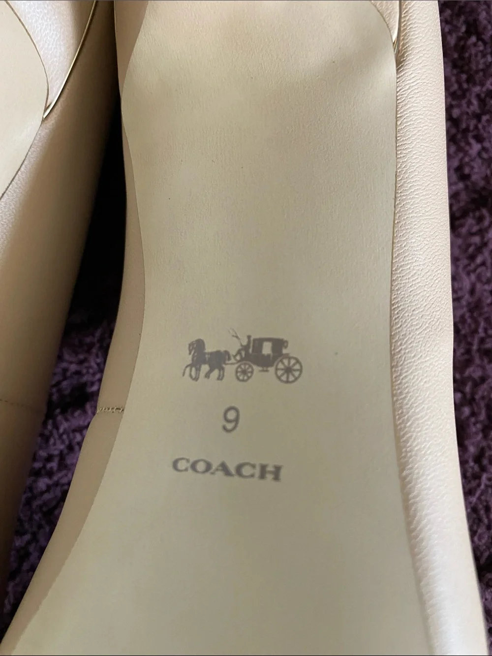 Coach Women's Pointed-Toe Pumps in Blush Nude